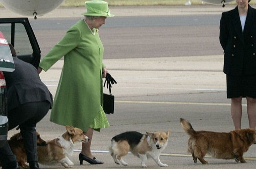 Английская королева с собакой вельш-корги 