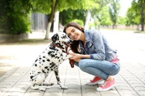 Далматинец с девушкой