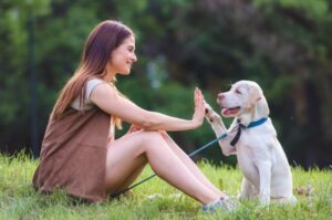 Лабрадор с молодой девушкой