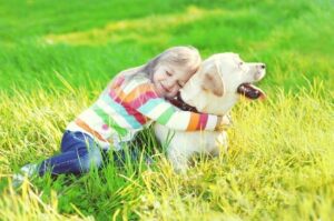 Как лабрадор относится к детям?