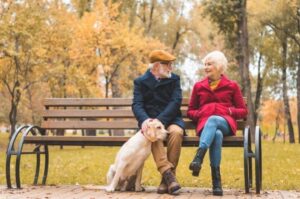 Лабрадор с пожилыми людьми