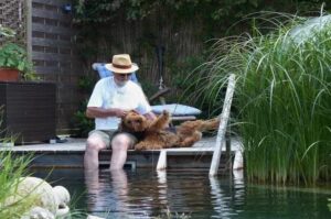 Эрдельтерьер с хозяином Собака эрдельтерьер с хозяином