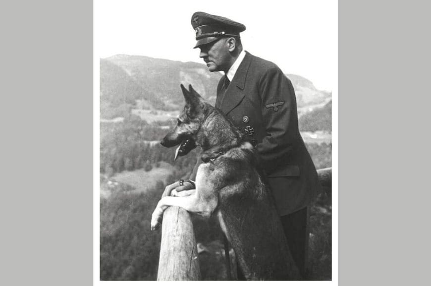 Гитлер с немецкой овчаркой 