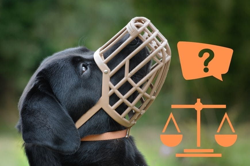 Какие собаки должны быть в наморднике по закону?