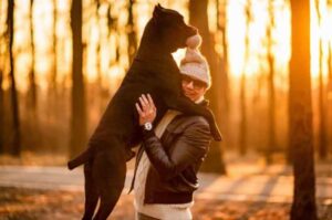 Кане-корсо фото с хозяином