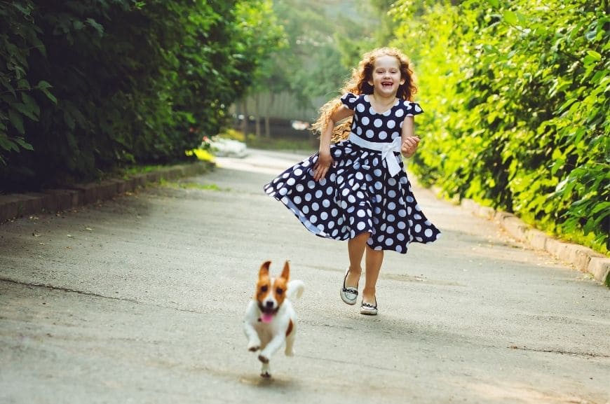 Когда гулять со щенком после прививки?