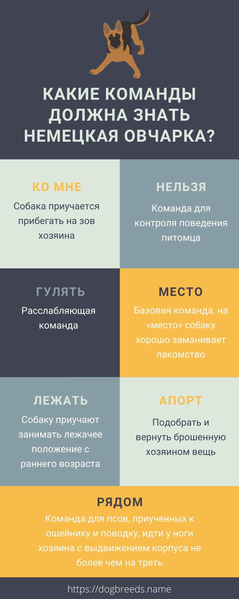 Какие команды должна знать немецкая овчарка?