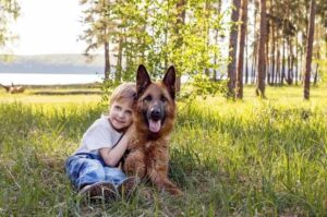 Немецкая овчарка с ребенком Как немецкая овчарка относится к детям?