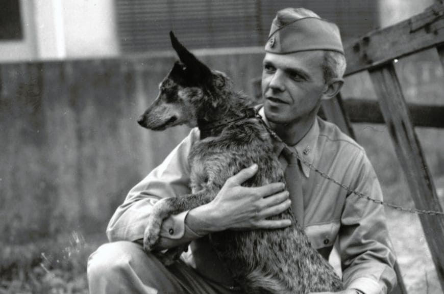 Американский солдат и пастушья австралийская собака