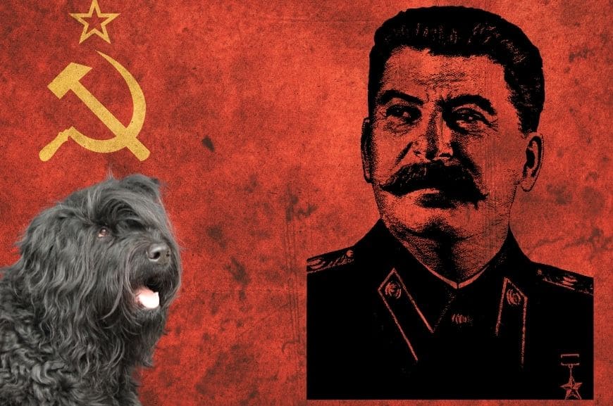 Любимая собака Сталина