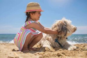 Девочка играет с собакой породы лабрадудль