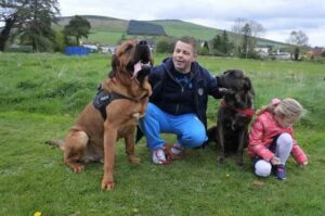 Собаки тоса-ину с семьей Собаки тоса-ину с хозяином и девочкой