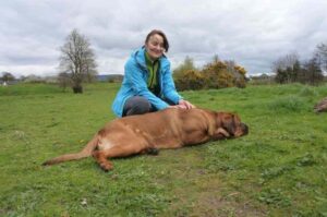 Тоса-ину с хозяйкой Тоса-ину со своей хозяйкой