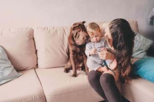 Шарпей с семьей