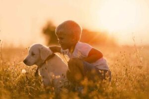 Золотистый ретривер с мальчиком на фоне заката