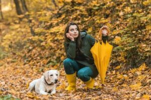 Золотистый ретривер с привлекательной девушкой в лесу