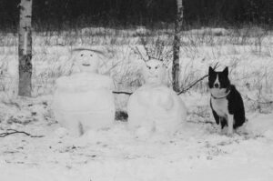 Карелка собака со снеговиками