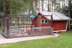 Питомник карелок