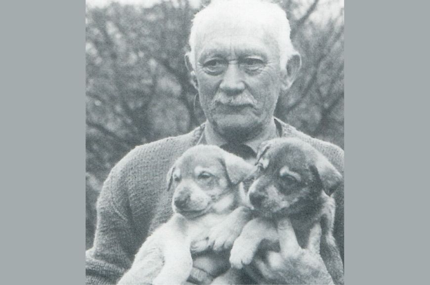 Ландер Сарлос с двумя щенками "волчьей собаки
