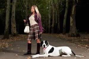 Девушка с немецким догом Красивая девушка с немецким догом