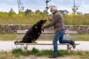 Ховаварт с хозяином