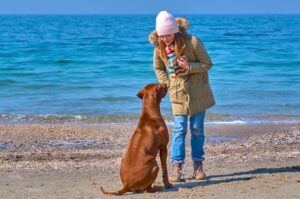 Родезийский риджбек с девочкой Родезийский риджбек с девочкой на побережье