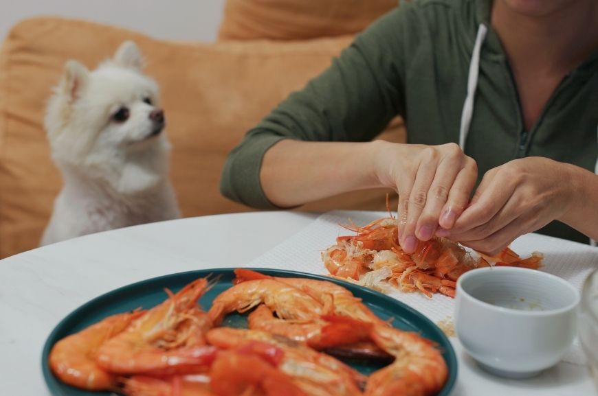 Можно ли собакам морепродукты