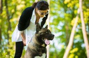 Девушка с американской акитой Американская акита с девушкой