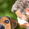 Гипоаллергенные собаки для аллергиков и астматиков