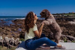 Испанская водяная собака: красивое фото с девушкой
