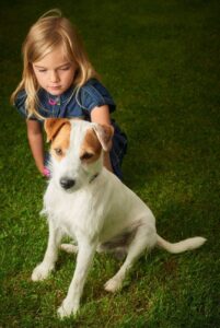 Парсон-рассел-терьер с девочкой Девочка с парсон-рассел-терьером