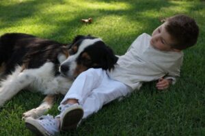 Английская овчарка с ребенком