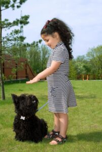 Скотч-терьер: фото с девочкой