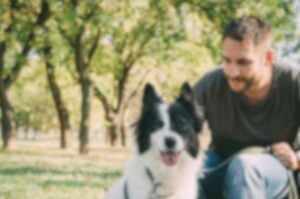 Как видит мир собака