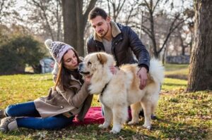 Чау-чау на прогулке