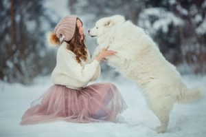 Фото самоедской собаки с хозяйкой