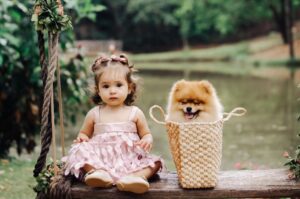 Щенок шпица с девочкой