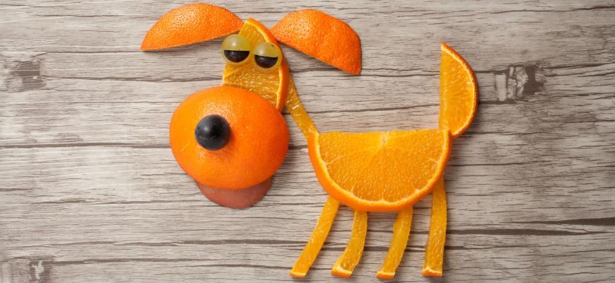 Можно ли собакам апельсины