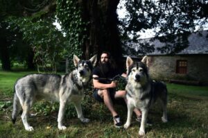 Собаки инуиты из «Игры престолов»