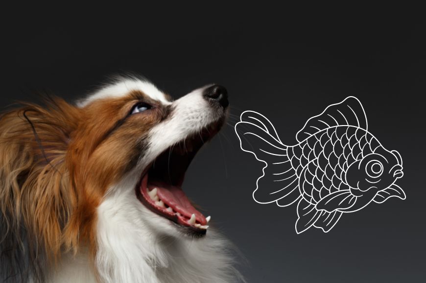 Почему у собаки изо рта пахнет рыбой