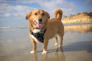 Дорги на берегу океана: фото