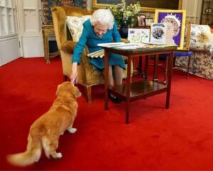 Елизавета королева Англии с собакой дорги