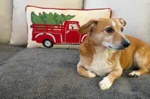 Фотография дорги