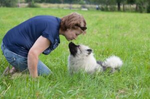 Хозяйка целует собаку кеесхонд