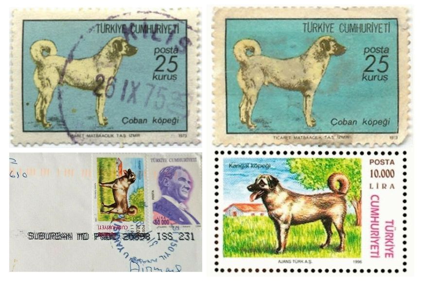 Почтовые марки с кангалом 