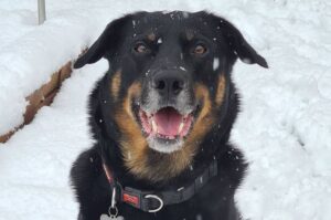 Хантвей зимой Хантвей зимнее фото