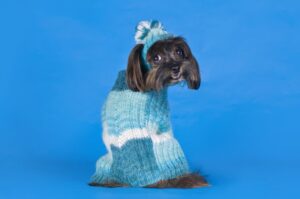 Петербургская орхидея: фотосессия Петербургская орхидея: фото