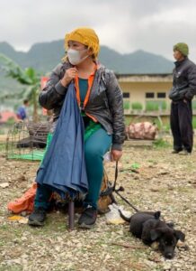 Собака хмонг Собака породы хмонг