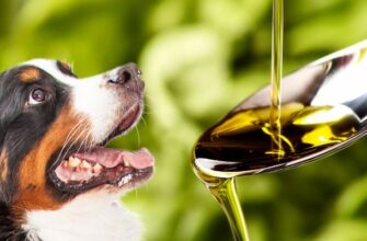 Можно ли собакам оливковое масло