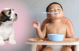 Можно ли кормить щенка детским питанием